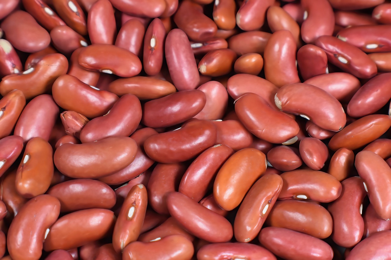 kidney beans, red beans, beans-7662225.jpg